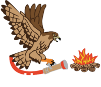 ff-havighorst.de